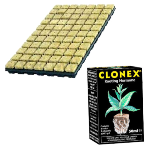 Grodan Rockwool 77pc Tray & 1 Clonex Gel