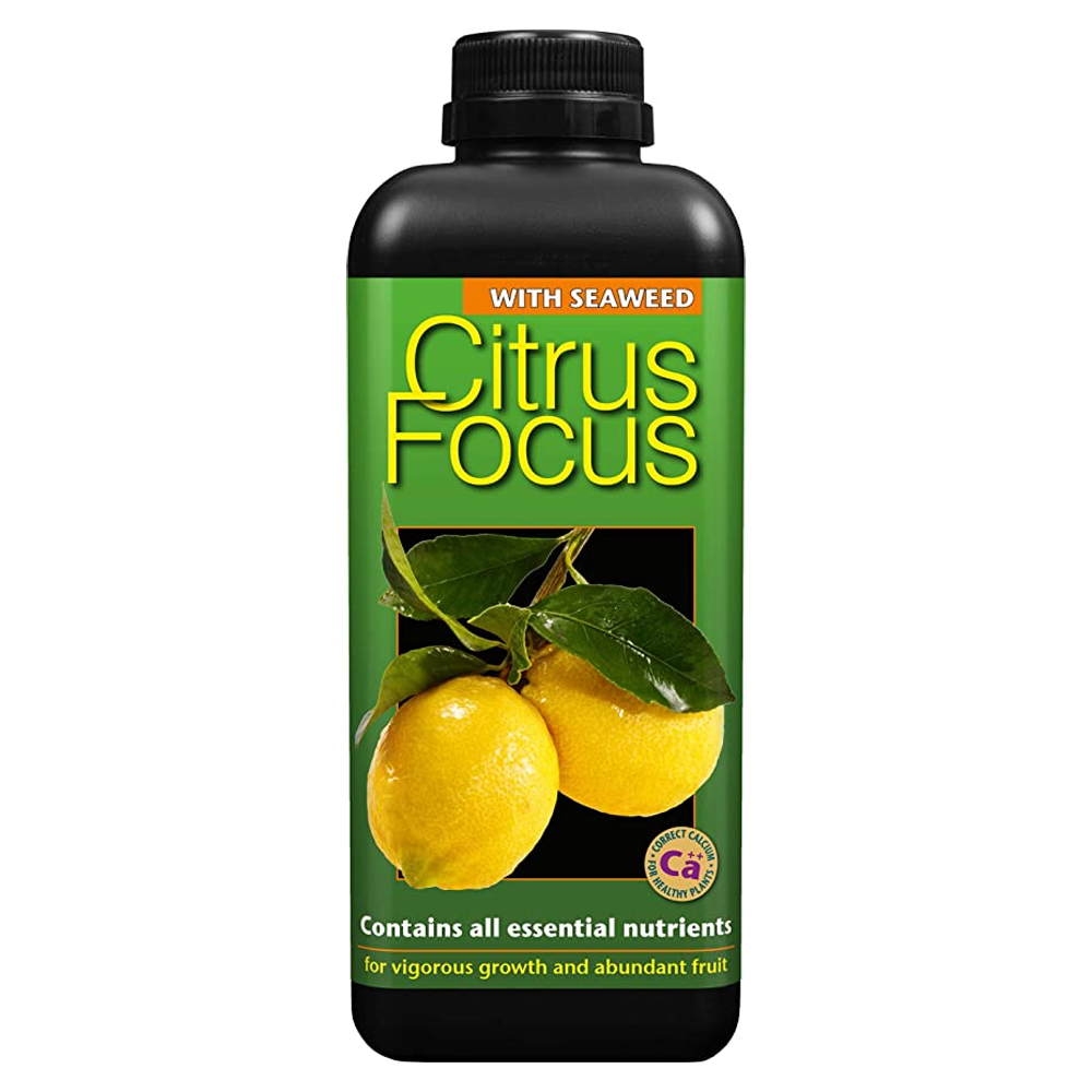 Growth Technology - Organic Citrus Focus (300ml)