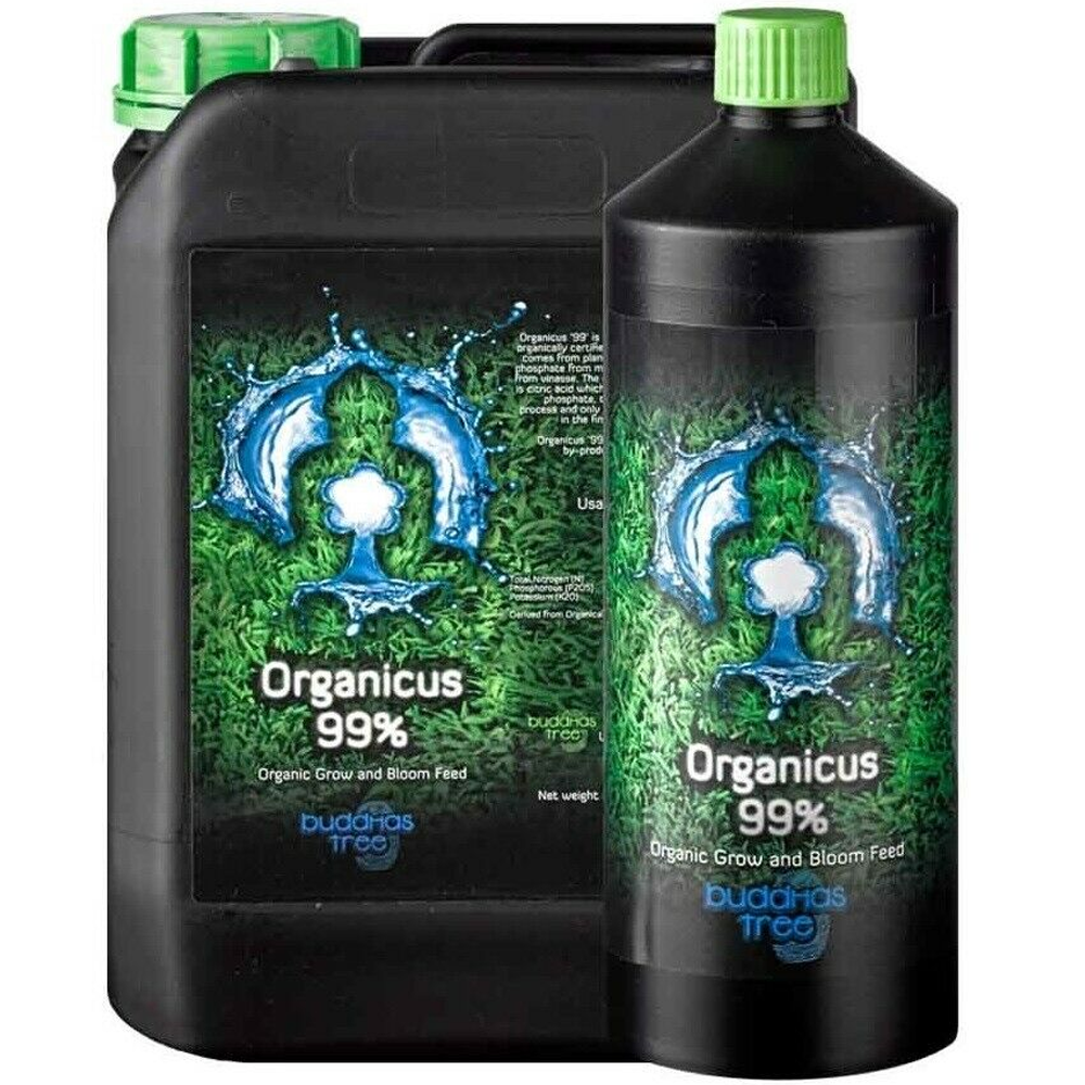 Organicus 99% - Buddha's Tree