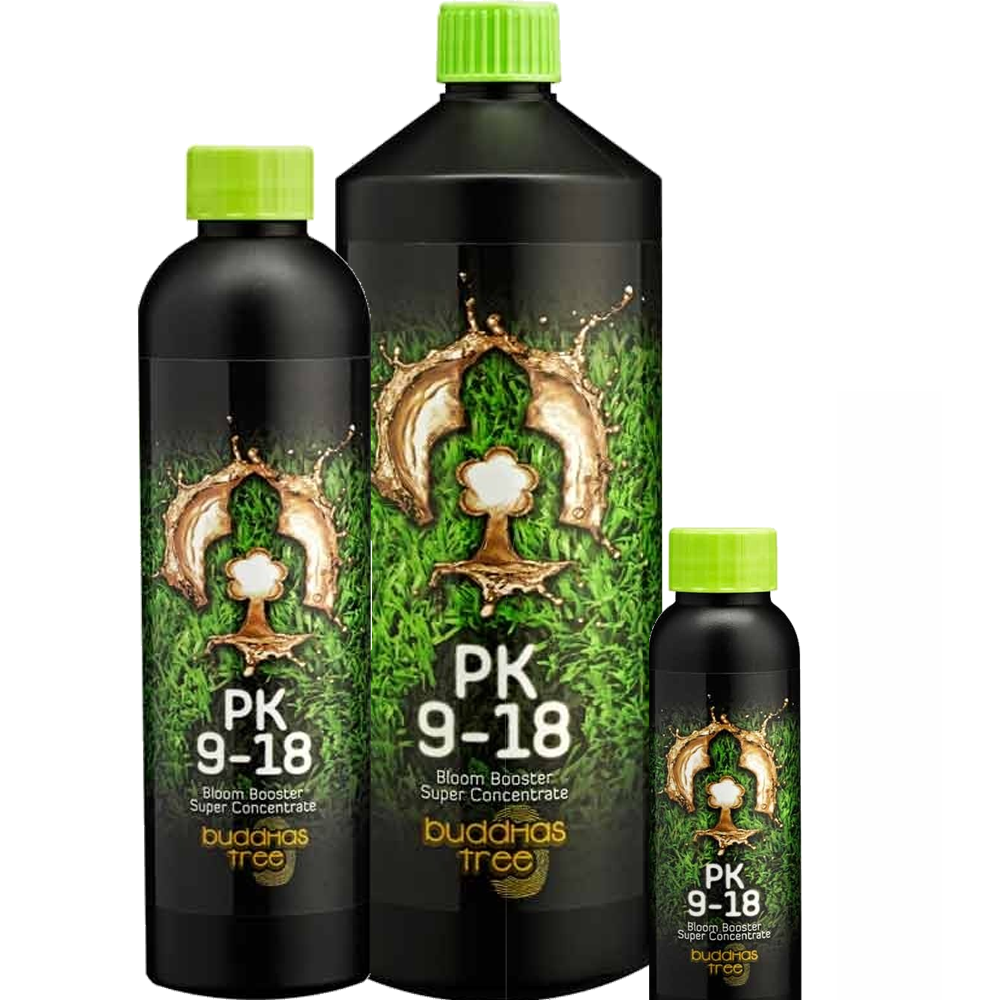 Buddhas Tree - PK 9-18