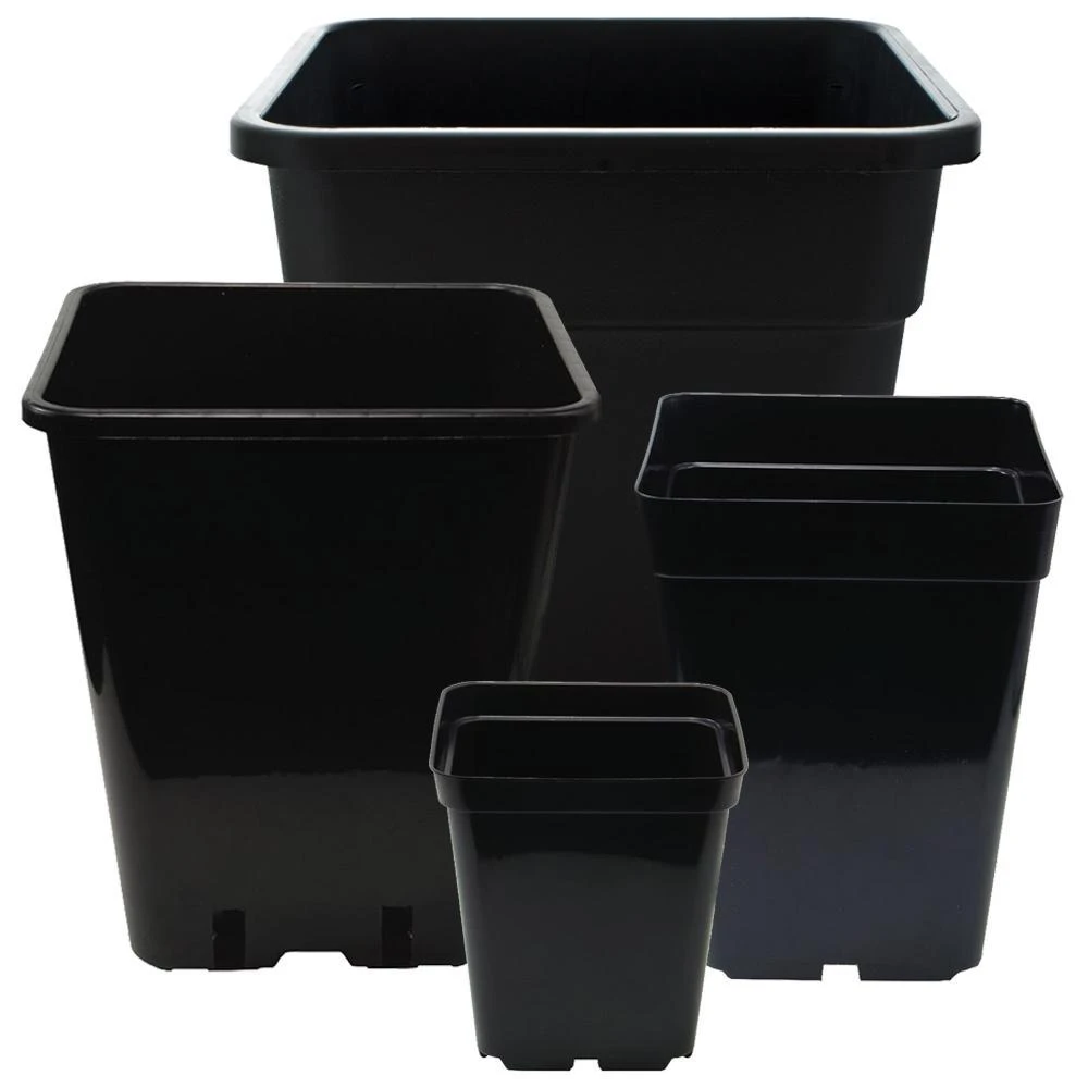 Square Plastic Plant Pot