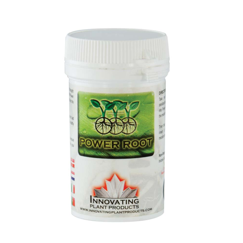 Power Roots 50g - Innovating Plant Products