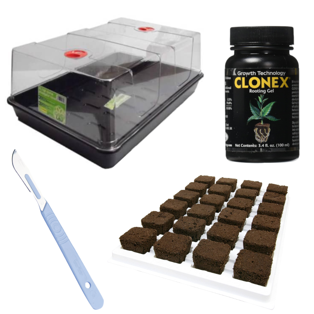 Root Riot 24 cell Propagation Kit