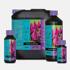 Atami - B'cuzz Blossom Builder