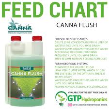 Canna - Flush