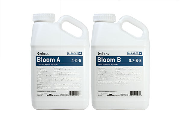 Athena - Bloom (Blended) A+B